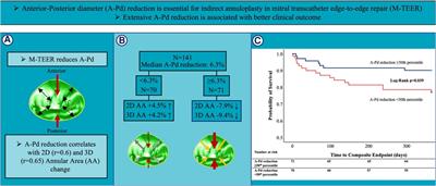 Transcatheter edge-to-edge-repair of functional mitral regurgitation induces significant remodeling of mitral annular geometry